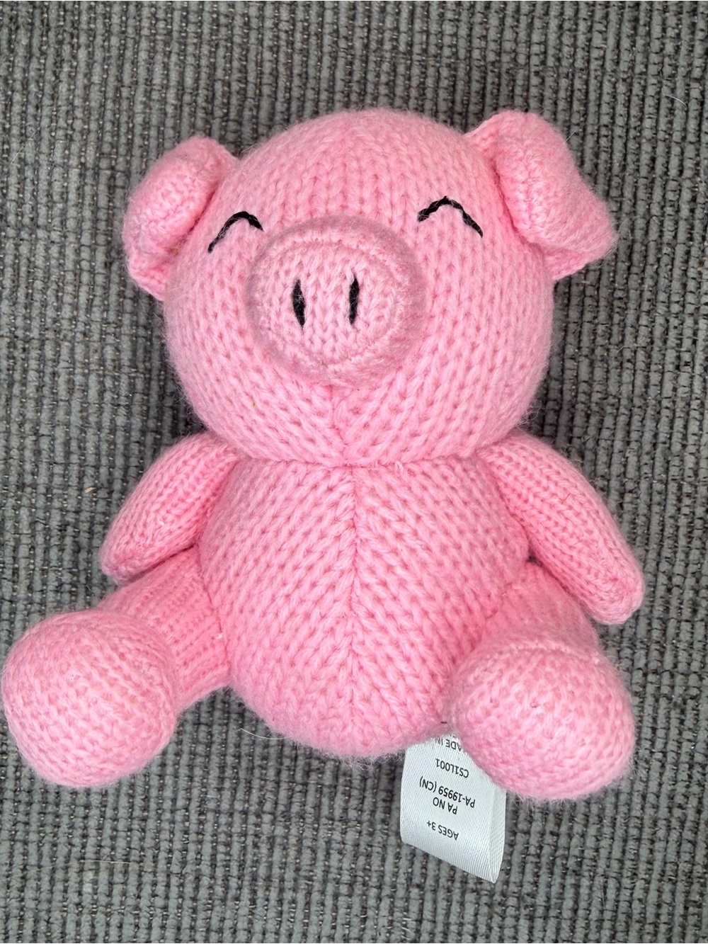 Pudgy Pig Craftie